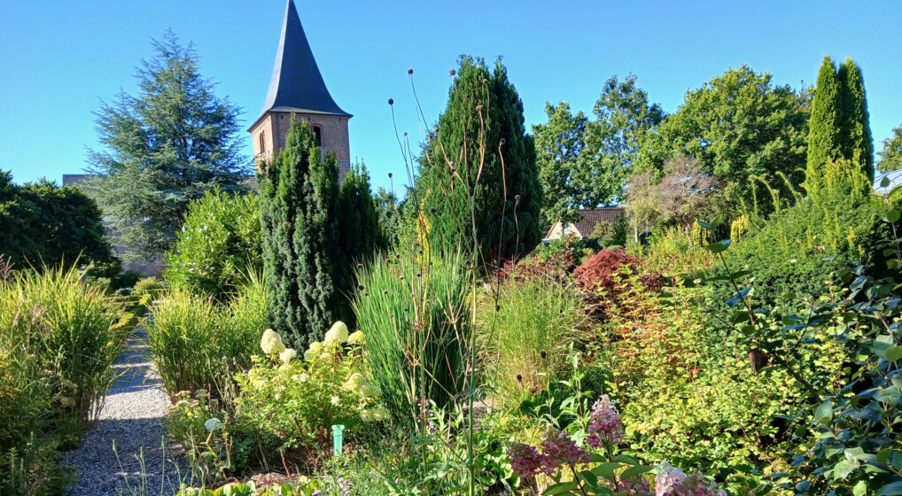 Skærehaven med kirken i baggrunden