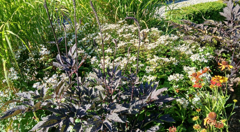 Blomster fra skærehaven